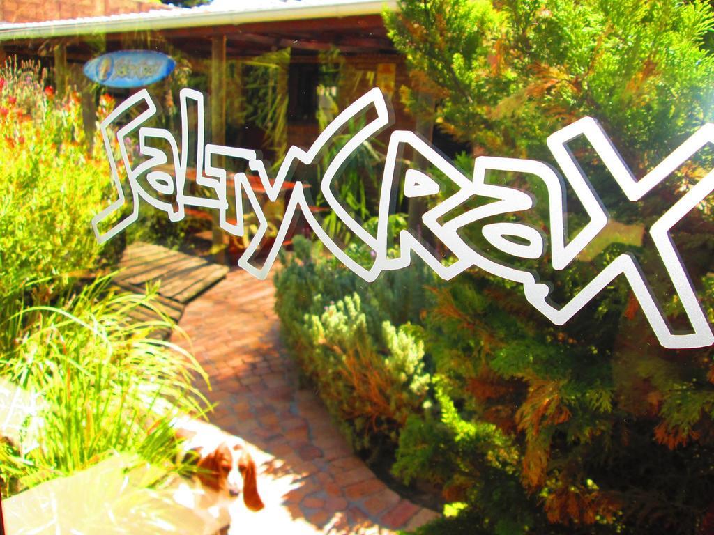 Saltycrax Backpackers And Surf Hostel Bloubergstrand Exterior photo