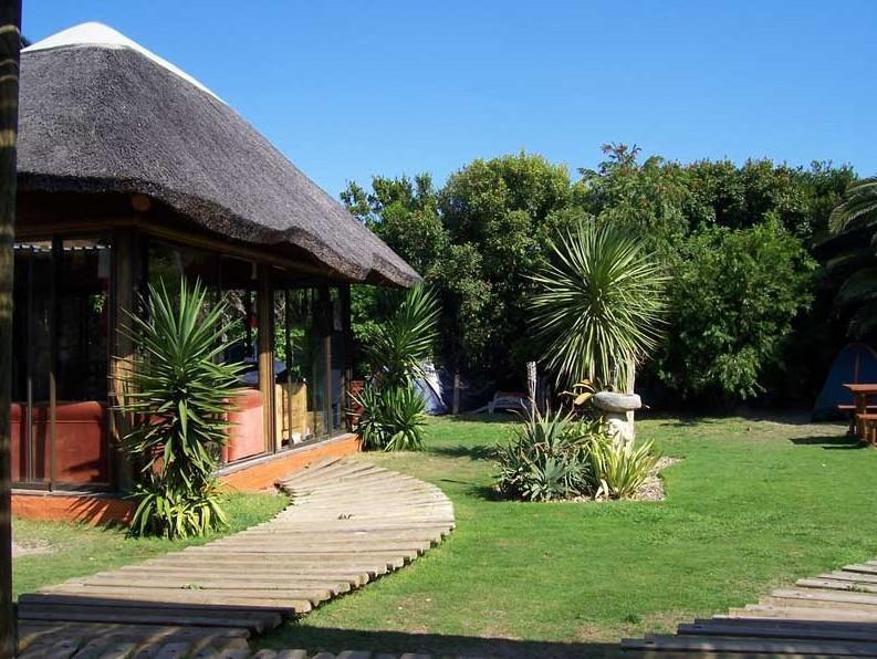 Saltycrax Backpackers And Surf Hostel Bloubergstrand Exterior photo