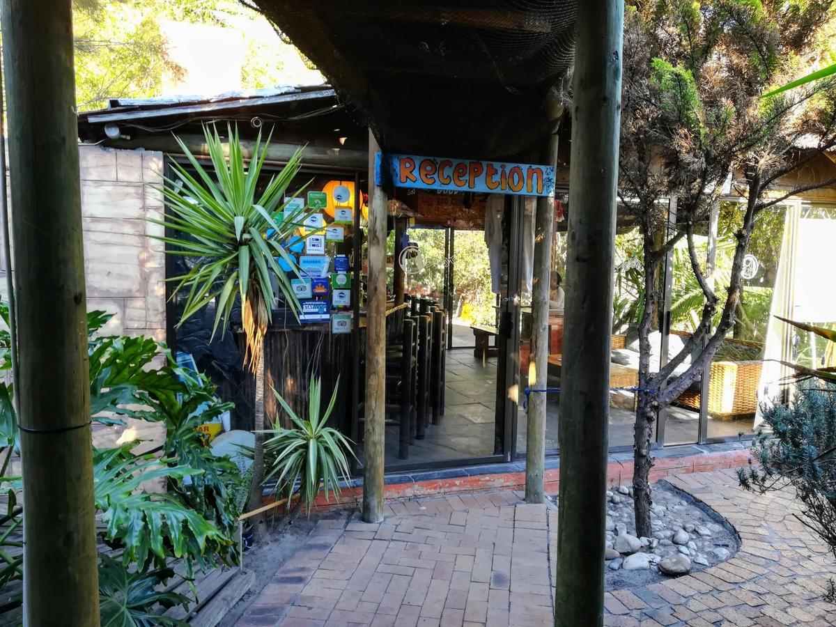 Saltycrax Backpackers And Surf Hostel Bloubergstrand Exterior photo