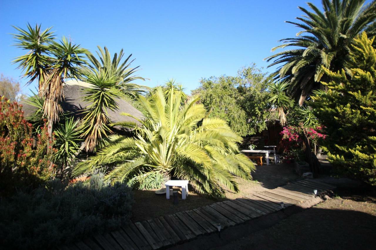 Saltycrax Backpackers And Surf Hostel Bloubergstrand Exterior photo