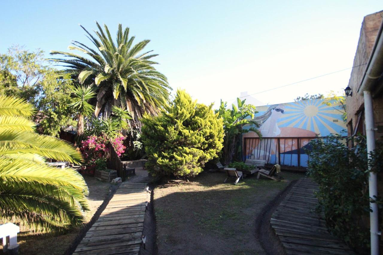 Saltycrax Backpackers And Surf Hostel Bloubergstrand Exterior photo