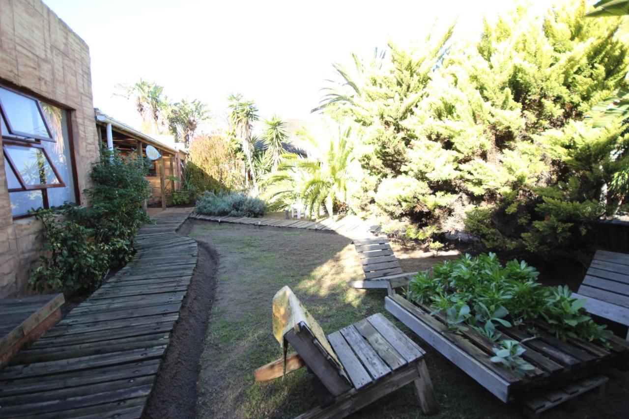 Saltycrax Backpackers And Surf Hostel Bloubergstrand Exterior photo